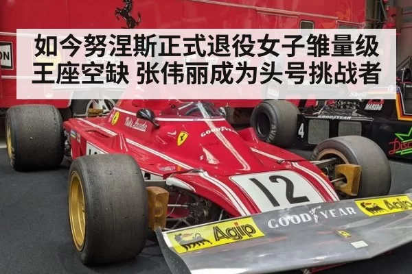 如今努涅斯正式退役女子雏量级王座空缺 张伟丽成为头号挑战者
